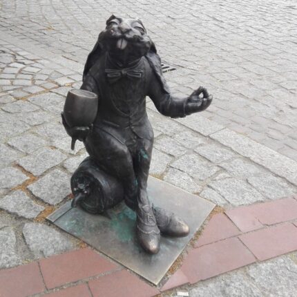 króliki gniezno co oznaczają