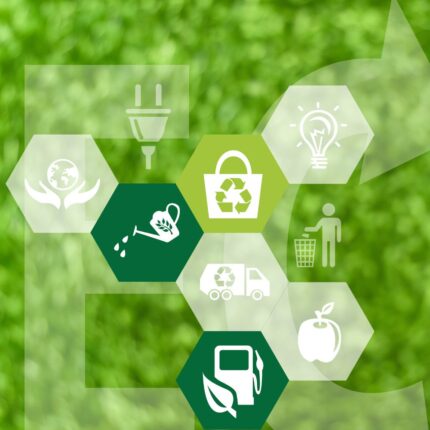 urząd miasta gniezno wydział ochrony środowiska